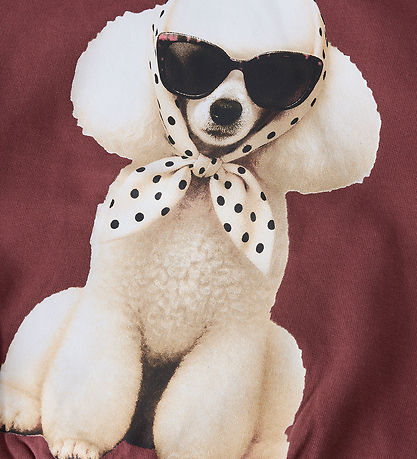 Name It Sweatshirt - NmfVotea - Wild Ginger/Poodle