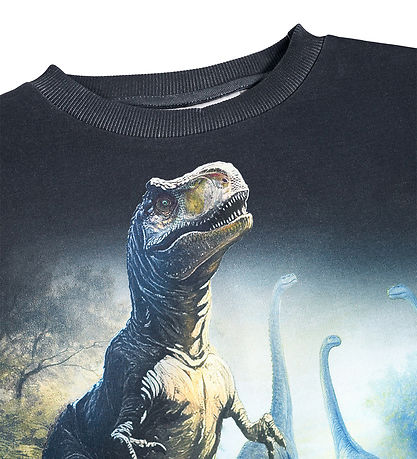 Molo Sweatshirt - Mattis - Twilight Dinos