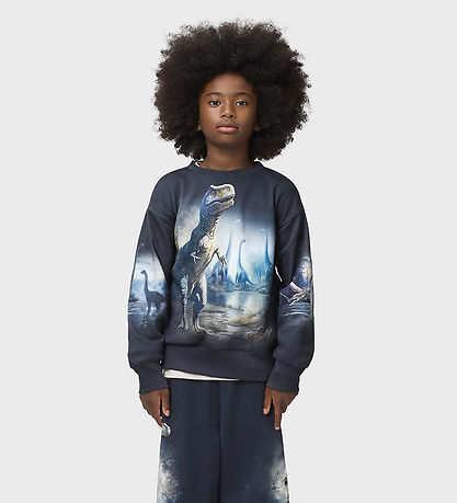 Molo Sweatshirt - Mattis - Twilight Dinos