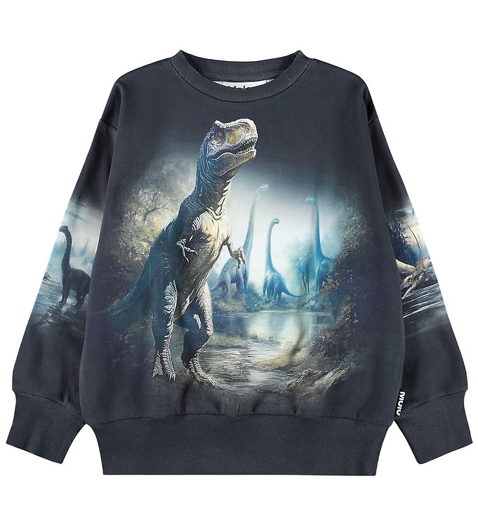 Molo Sweatshirt - Mattis - Twilight Dinos