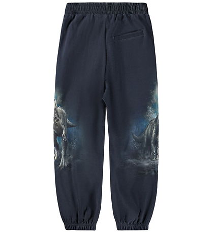 Molo Sweatpants - Aimon - Twilight Dinos