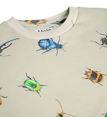 Molo T-shirt - Riley - Beetles