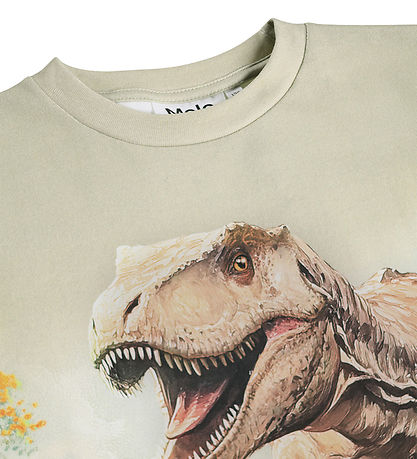 Molo T-shirt - Riley - Leafy Rex