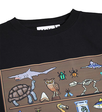 Molo Bluse - Rube - Pixellection