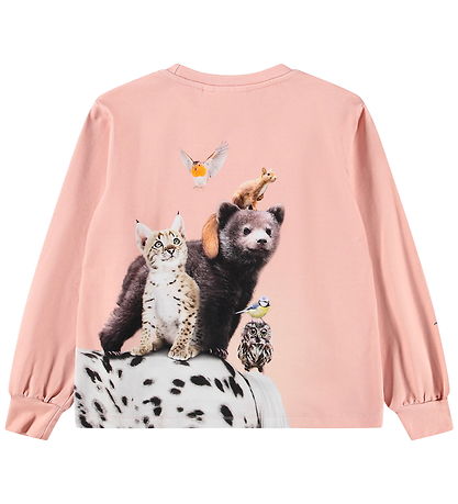 Molo Bluse - Raffy - Entourage