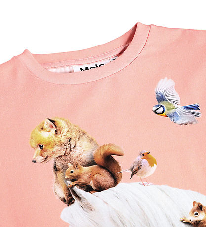 Molo Bluse - Raffy - Entourage