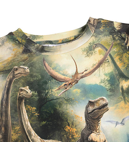 Molo T-shirt - Ralphie - Dino Harmony