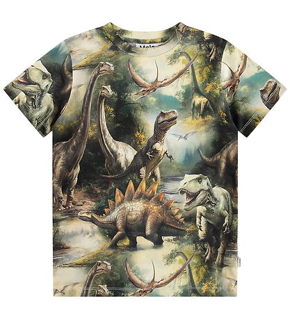 Molo T-shirt - Ralphie - Dino Harmony