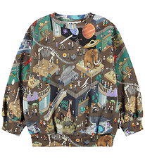 Molo Sweatshirt - Monti - Pixeleum