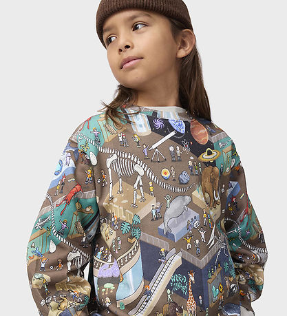 Molo Sweatshirt - Monti - Pixeleum