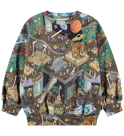 Molo Sweatshirt - Monti - Pixeleum
