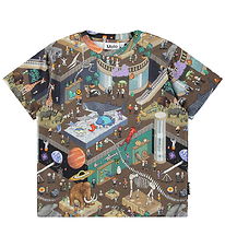 Molo T-shirt - Riley - Pixeleum
