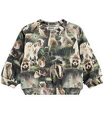 Molo Sweatshirt - Disc - Fable Forest