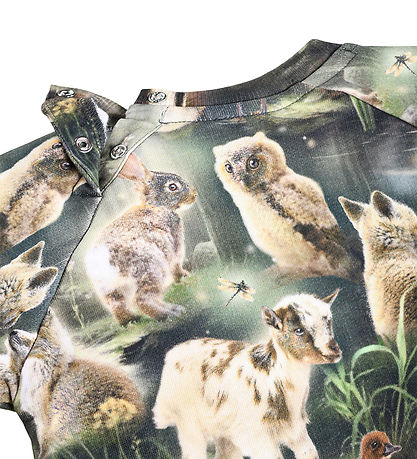 Molo Sweatshirt - Disc - Fable Forest