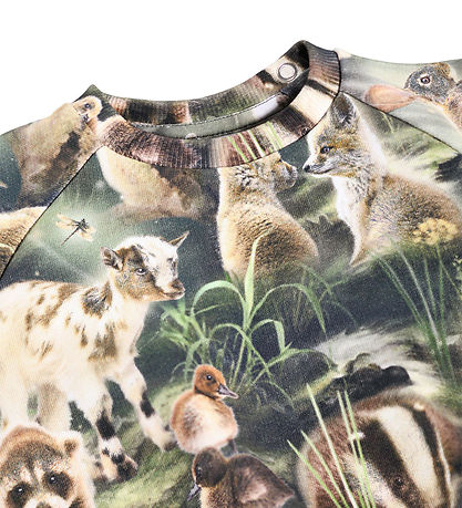 Molo Sweatshirt - Disc - Fable Forest