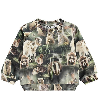 Molo Sweatshirt - Disc - Fable Forest