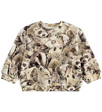 Molo Sweatshirt - Dear - Fleecy Friends
