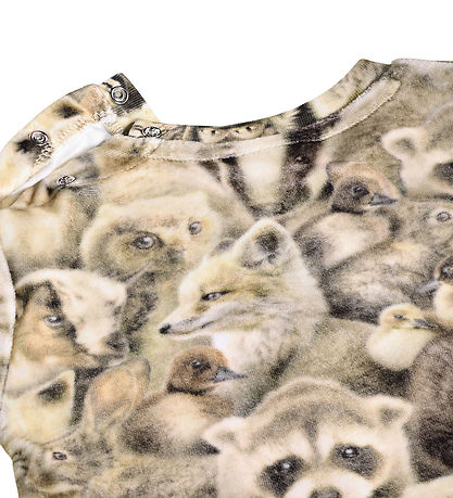 Molo Sweatshirt - Dear - Fleecy Friends