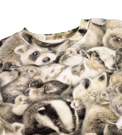 Molo Sweatshirt - Dear - Fleecy Friends