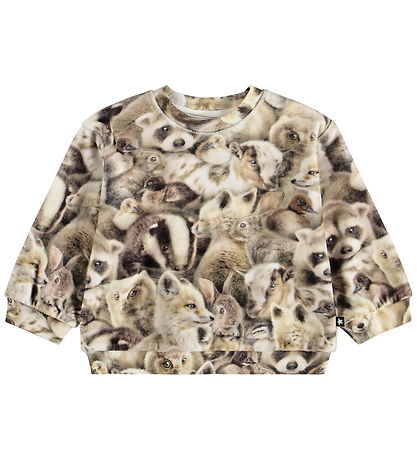 Molo Sweatshirt - Dear - Fleecy Friends