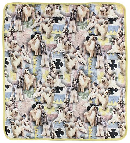 Molo Viltti - 80x75 - Neala - Dogtastic Molo Viltti - 80x75 - Neala - Dogtastic