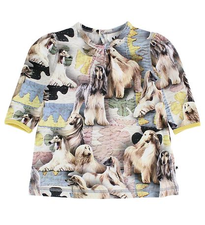 Molo Kleid - Caroline - Dogtastic Molo Kleid - Caroline - Dogtastic