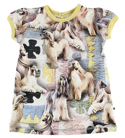 Molo Kleid - Cathleen - Dogtastic Molo Kleid - Cathleen - Dogtastic