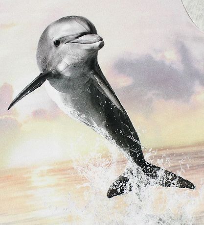 Molo Jurk - Corina - Jumping Dolphin Molo Jurk - Corina - Jumping Dolphin