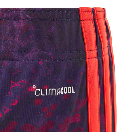 adidas Performance Fodboldshorts - FC Bayern 26/27 3. Sæt - Mult