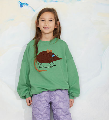 Mini Rodini Sweatshirt - Elephant Shrew - Grøn