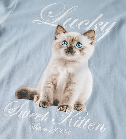 Name It Bluse - NkfVotea - Subdued Blue/Kitten