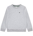 Lacoste Sweatshirt - Argent Chine