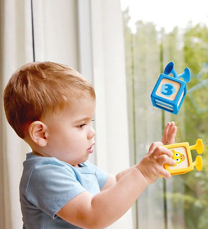 Hape Stableklodser - Delightful Discovery Blocks