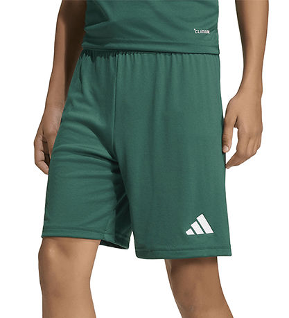 adidas Performance Shorts - ENT26 - Drkgrn/White