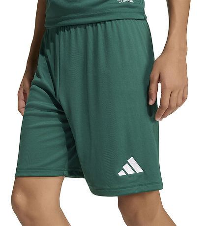 adidas Performance Shorts - ENT26 - Drkgrn/White