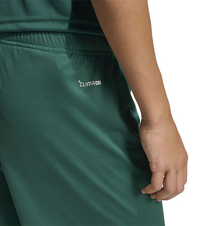 adidas Performance Shorts - ENT26 - Drkgrn/White
