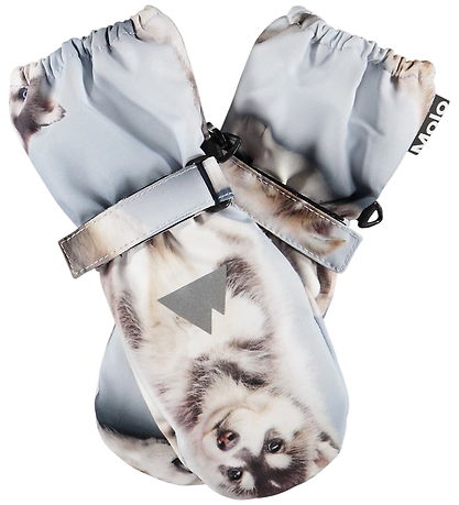 Molo Luffer - Igor - Husky Cubs