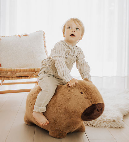 Wild and Soft Hoppedyr - Soft Bouncy - Capybara