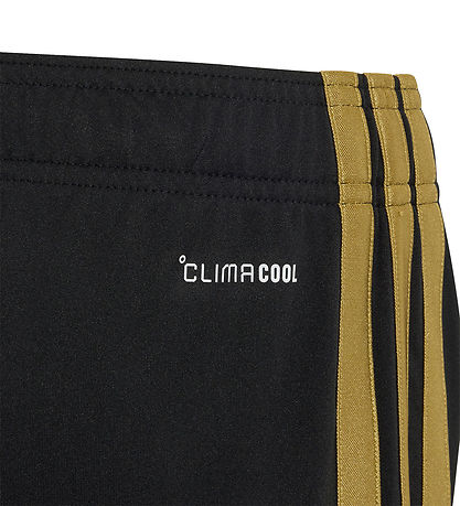 adidas Performance Shorts - JUVE 3 - Black