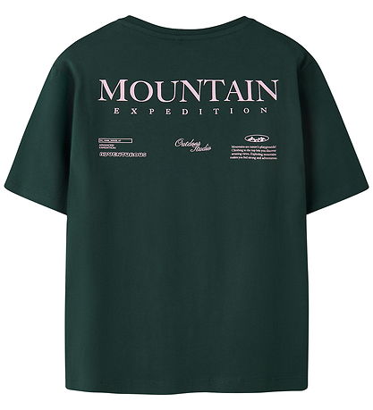 Name it T-shirt - NKMOHANNES - Pine Grove