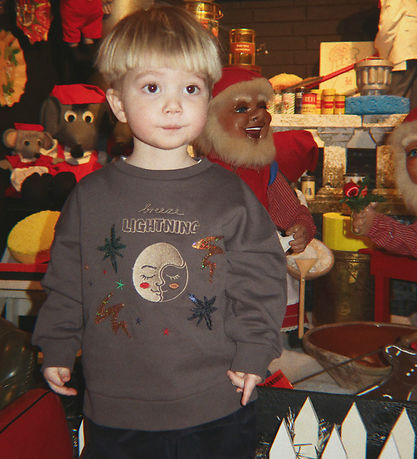 Konges Sløjd Sweatshirt - Lou - Magnet m. Pailletter