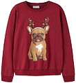 Name it Sweatshirt - NkfVrasab - Red Dahlia/French Bulldog
