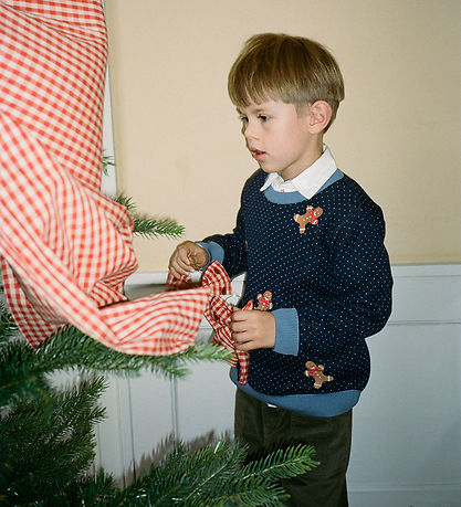 Flöss Bluse - Strik - Holger - Navy Gingerbread