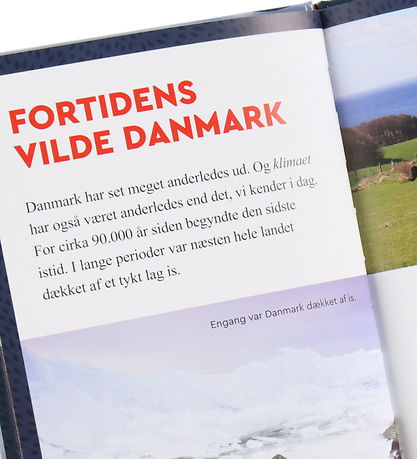 Forlaget Carlsen Bog - Læs med Sebastian Klein - Danmarks Store 
