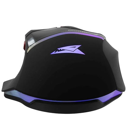 Baracuda Mus - Manta