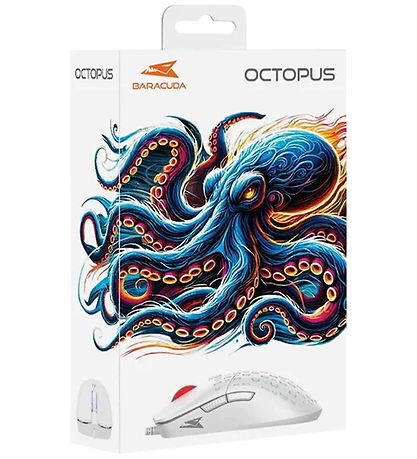 Baracuda Mus - Octopus
