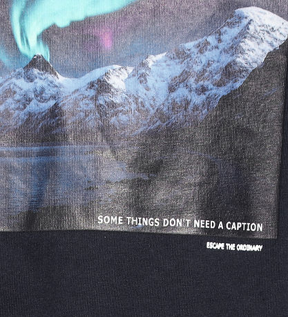 Hound T-Shirt - HdAnton - Navy m. Print