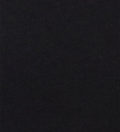 Champion T-shirt - Black
