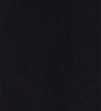Champion Polobluse - Black