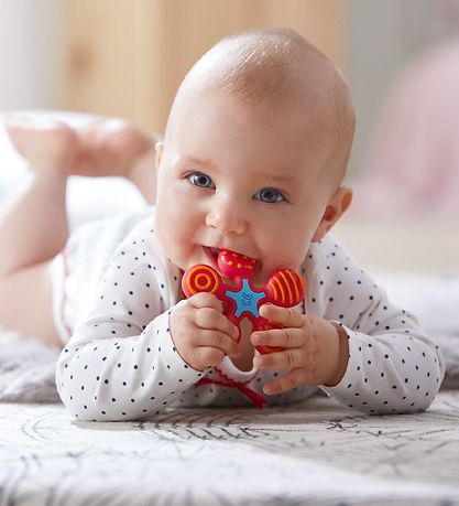 Haba Bidering - Rød Stjerne